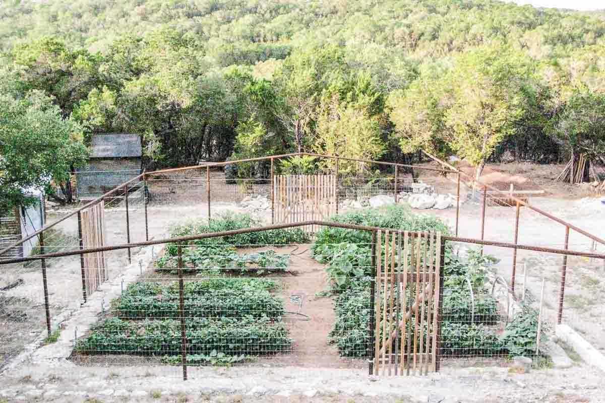 garden